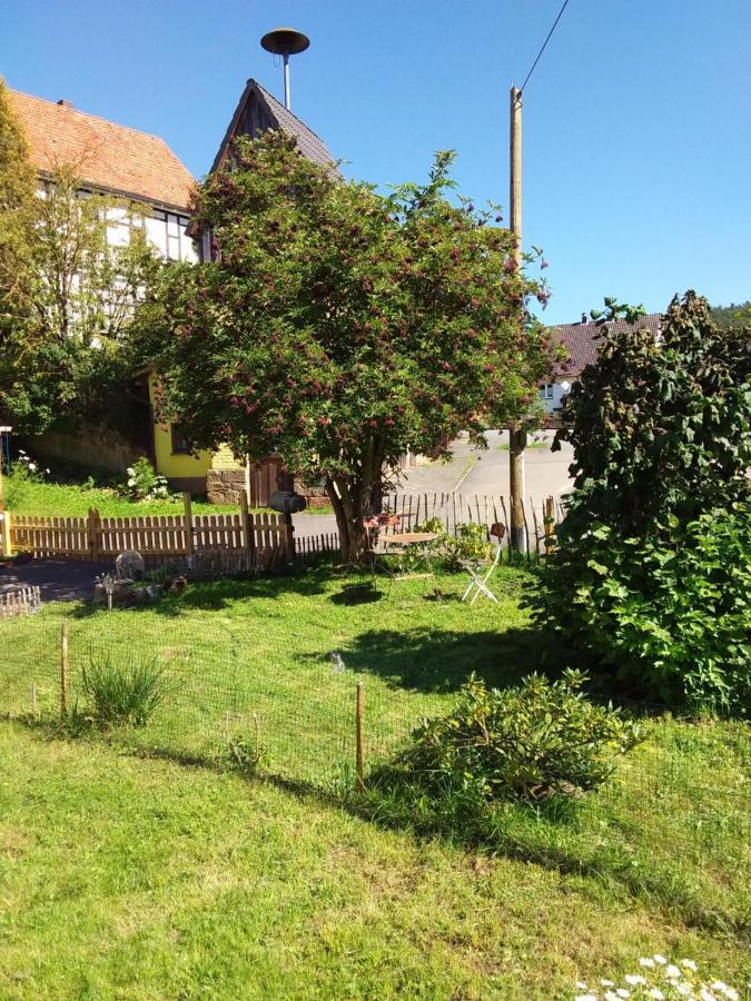 Dehringhausen Appartement An Der Bicke מראה חיצוני תמונה