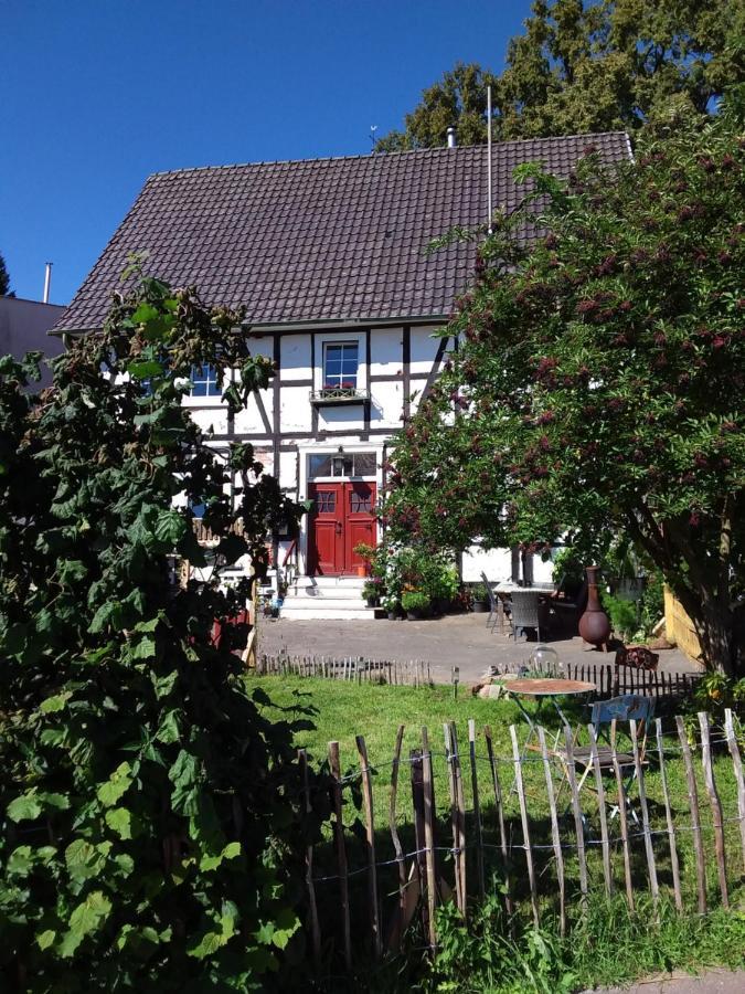 Dehringhausen Appartement An Der Bicke מראה חיצוני תמונה